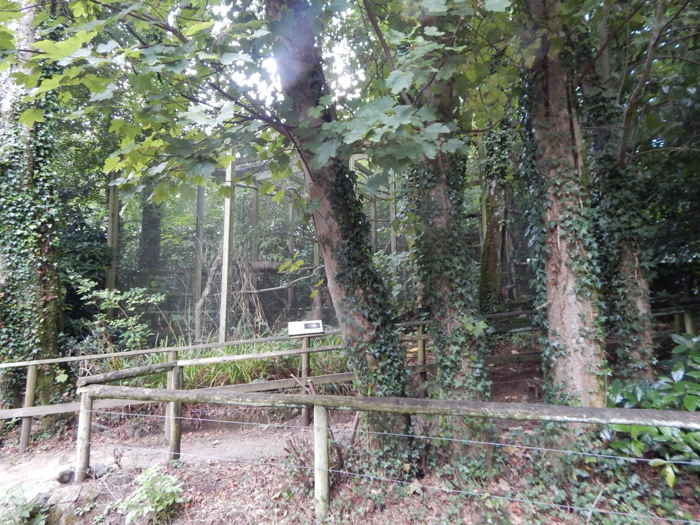 Scottish wildcat enclosure 050925