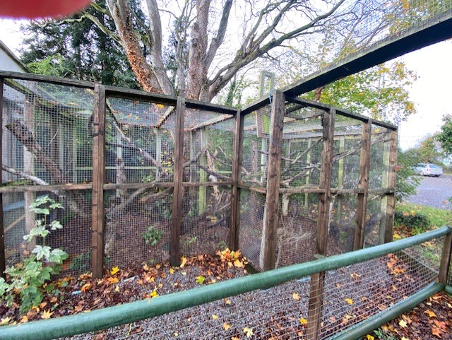 Scottish wildcat enclosure 051122