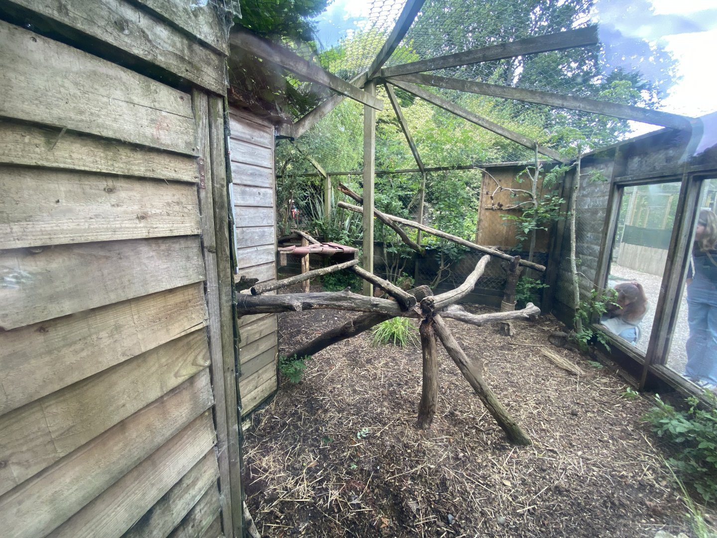 Scottish wildcat enclosure 060625
