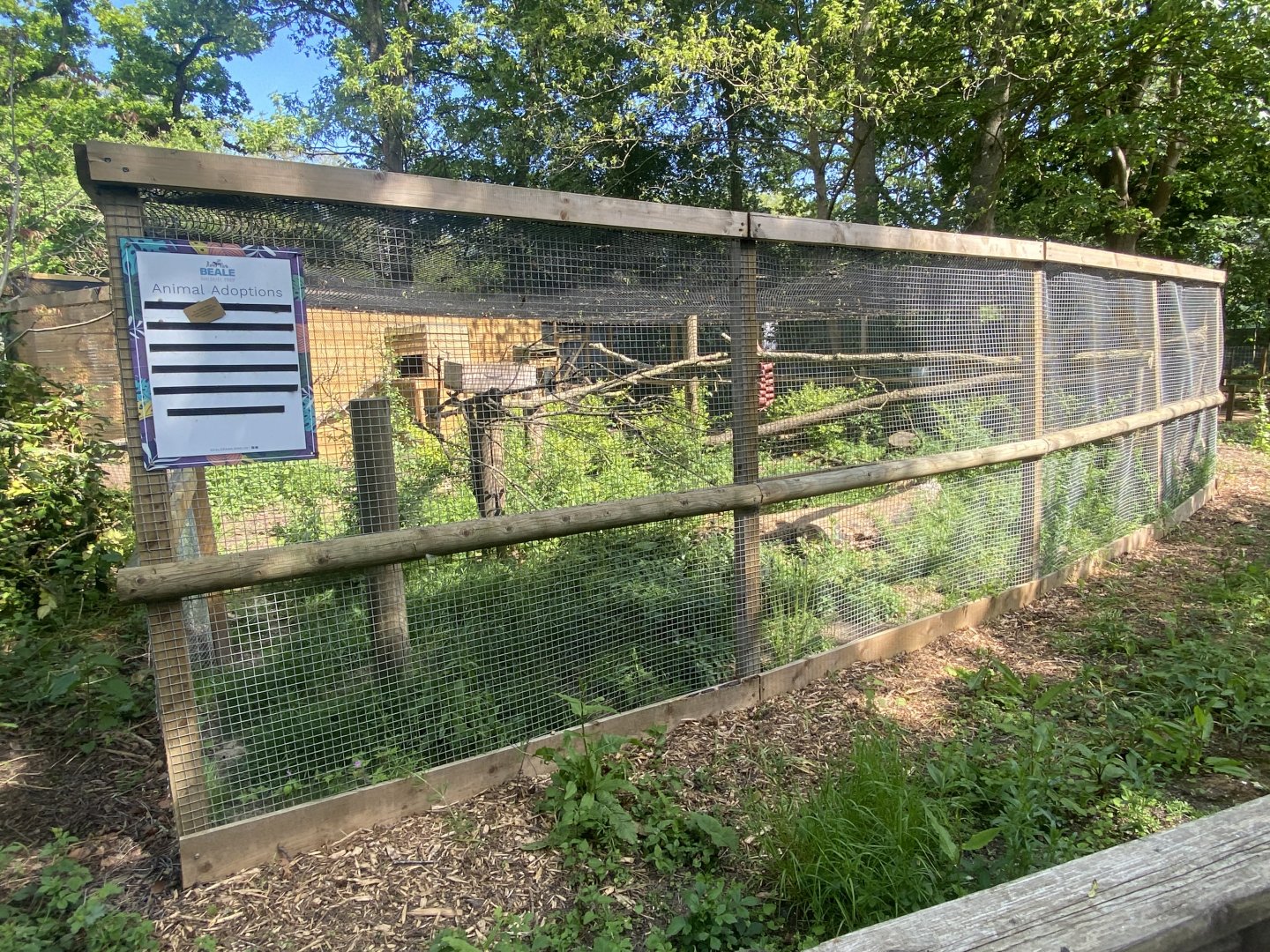 Scottish wildcat enclosure 090525