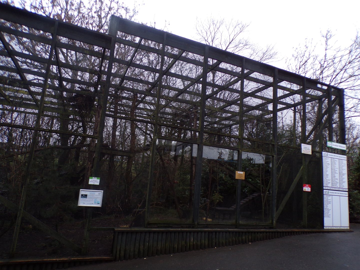 Scottish wildcat enclosure 1.1.23