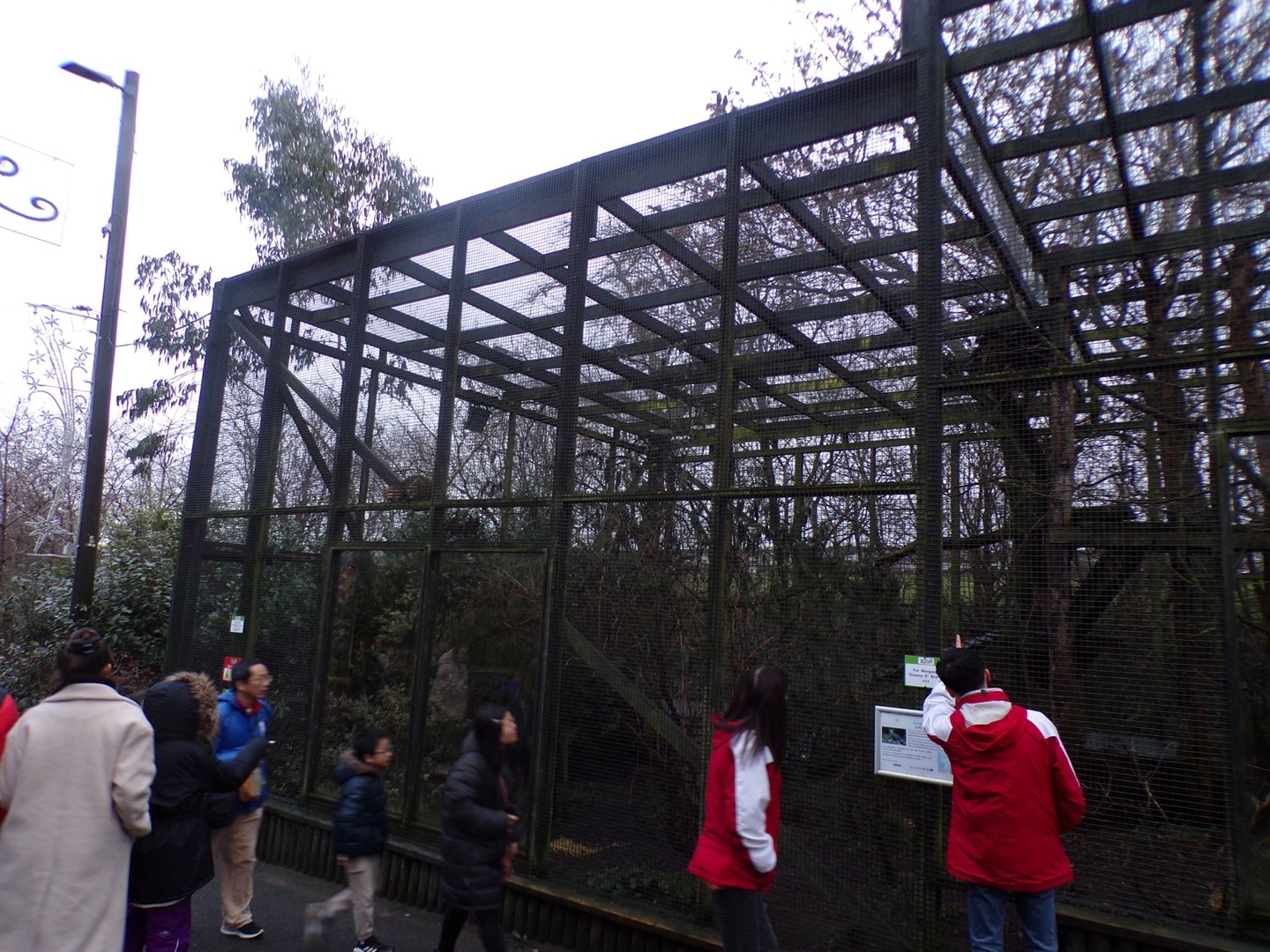 Scottish wildcat enclosure 1.1.23