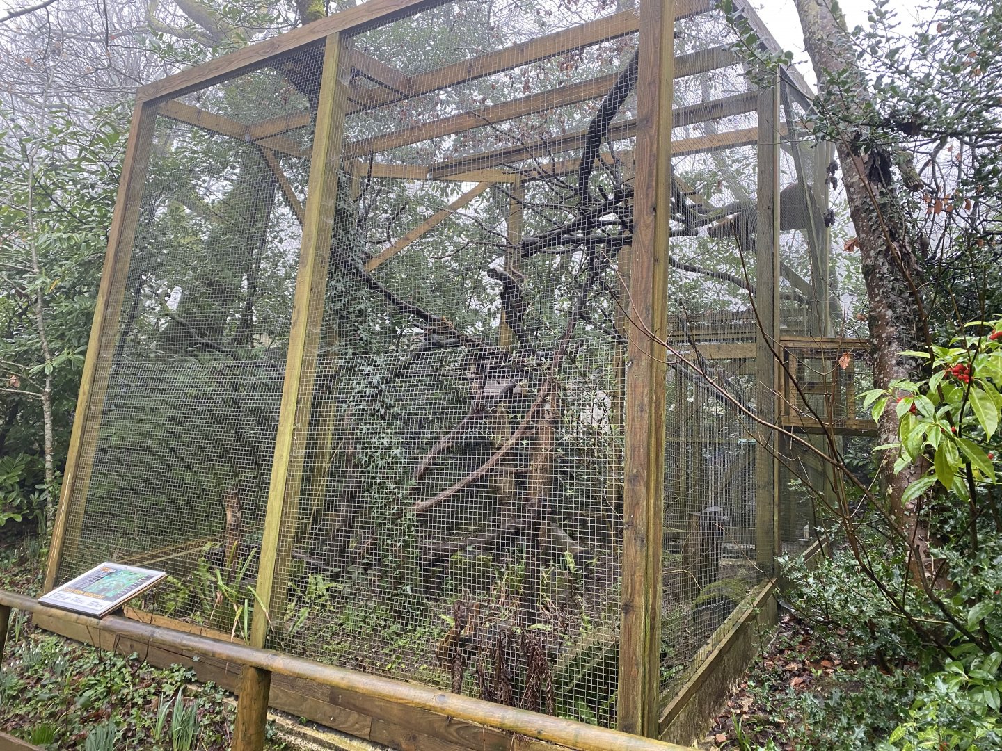 Scottish wildcat enclosure 140224