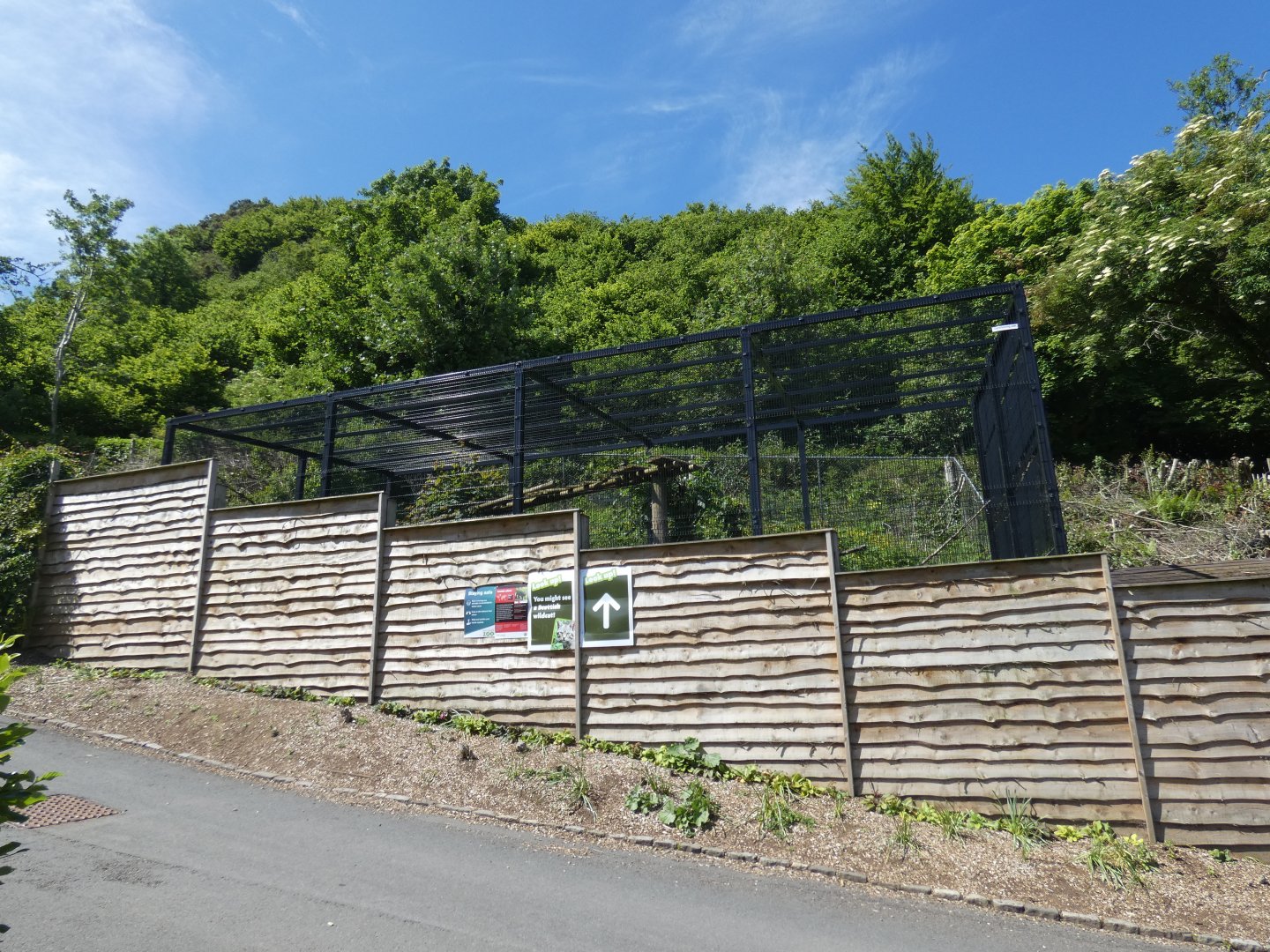 Scottish wildcat enclosure (2)
