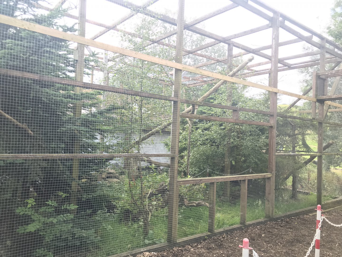 Scottish wildcat enclosure (2)