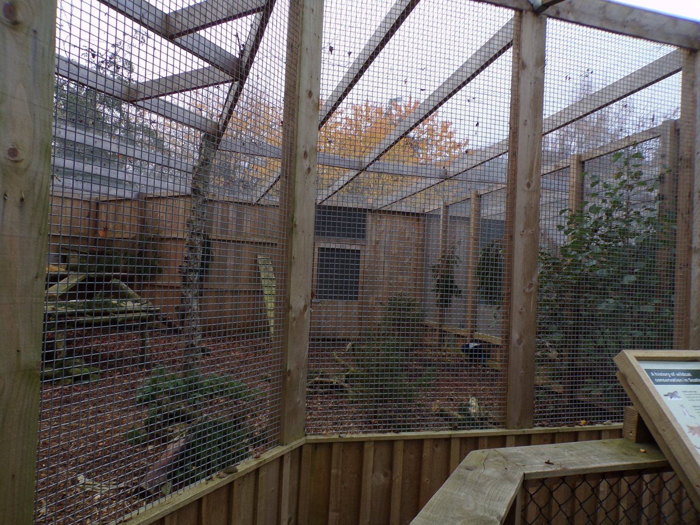 Scottish wildcat enclosure (2)