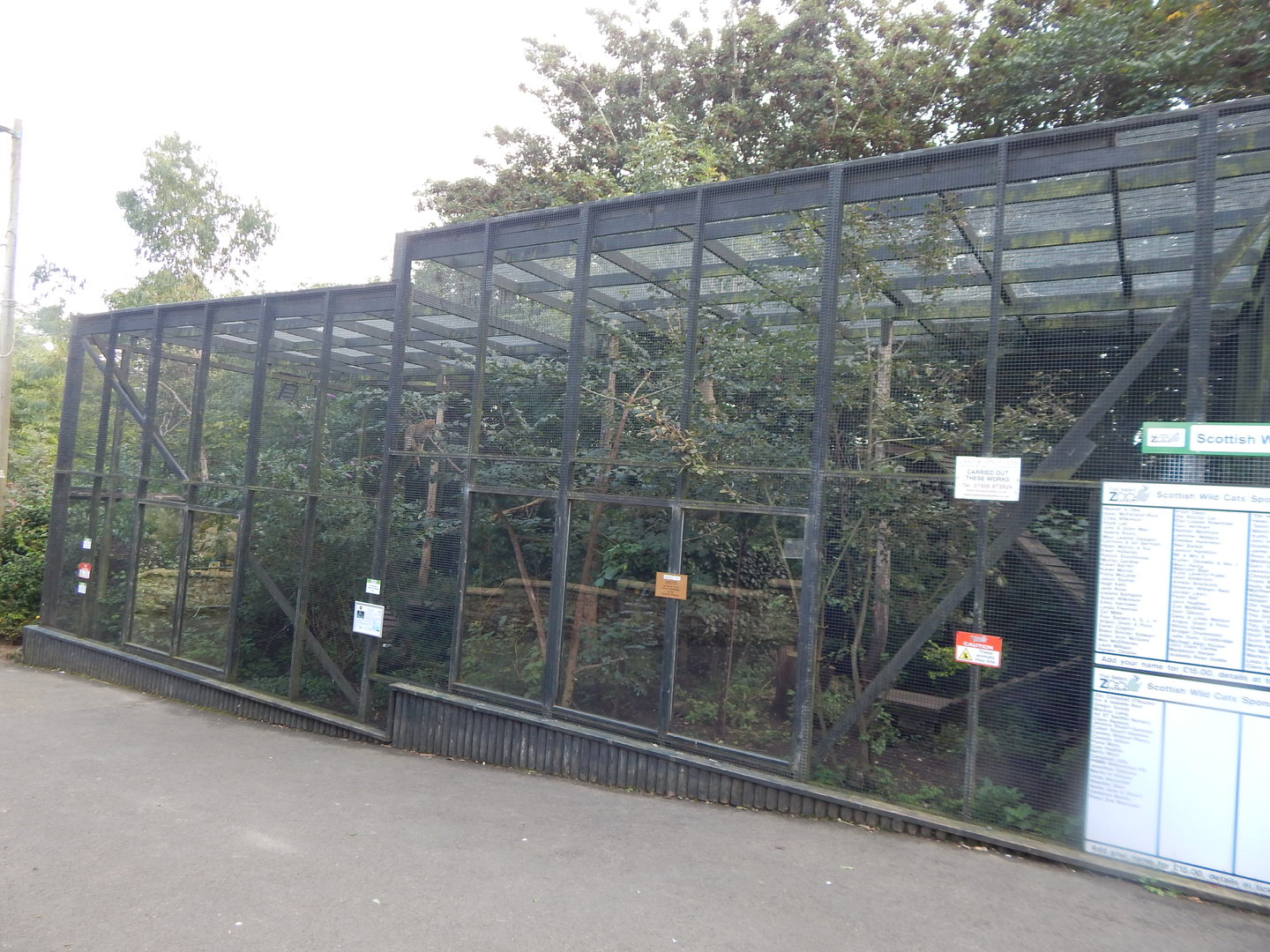 Scottish wildcat enclosure 200922