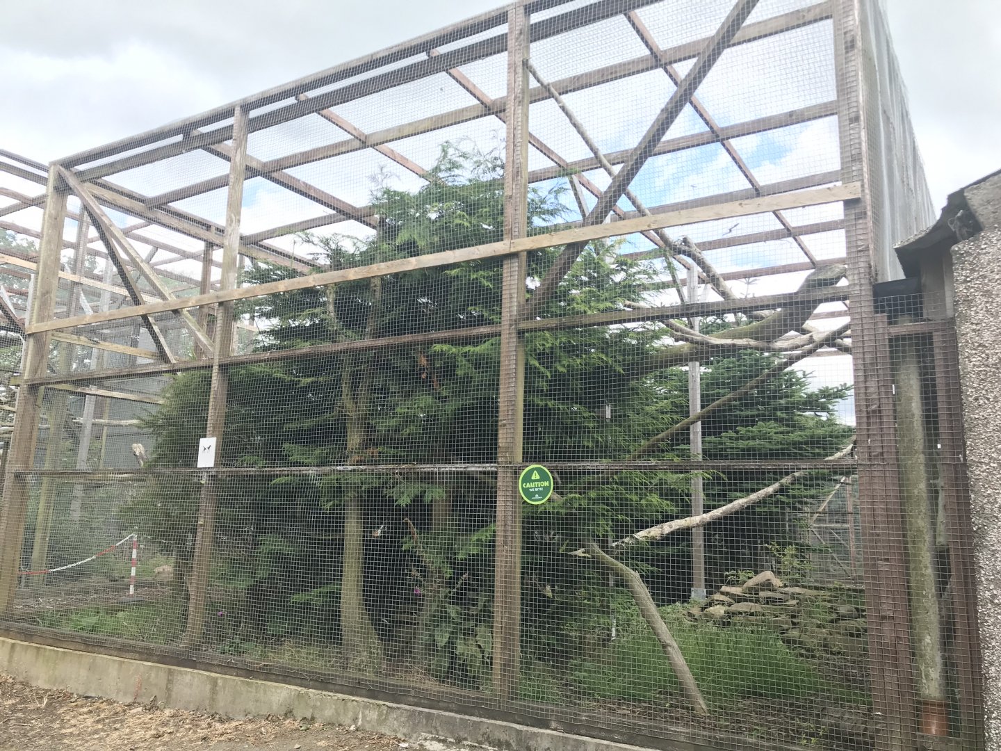 Scottish wildcat enclosure (3)