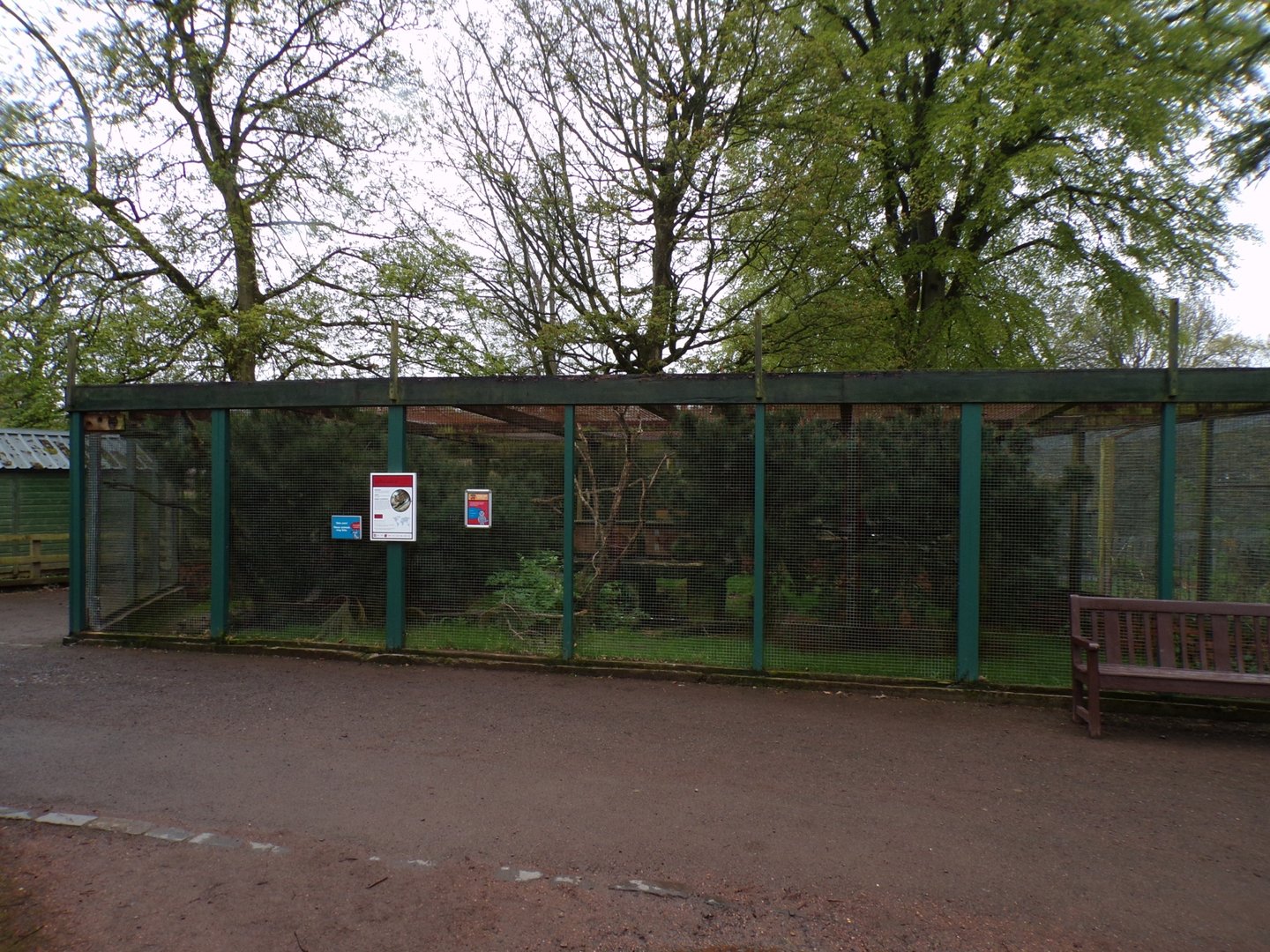 Scottish wildcat enclosure 7.5.23