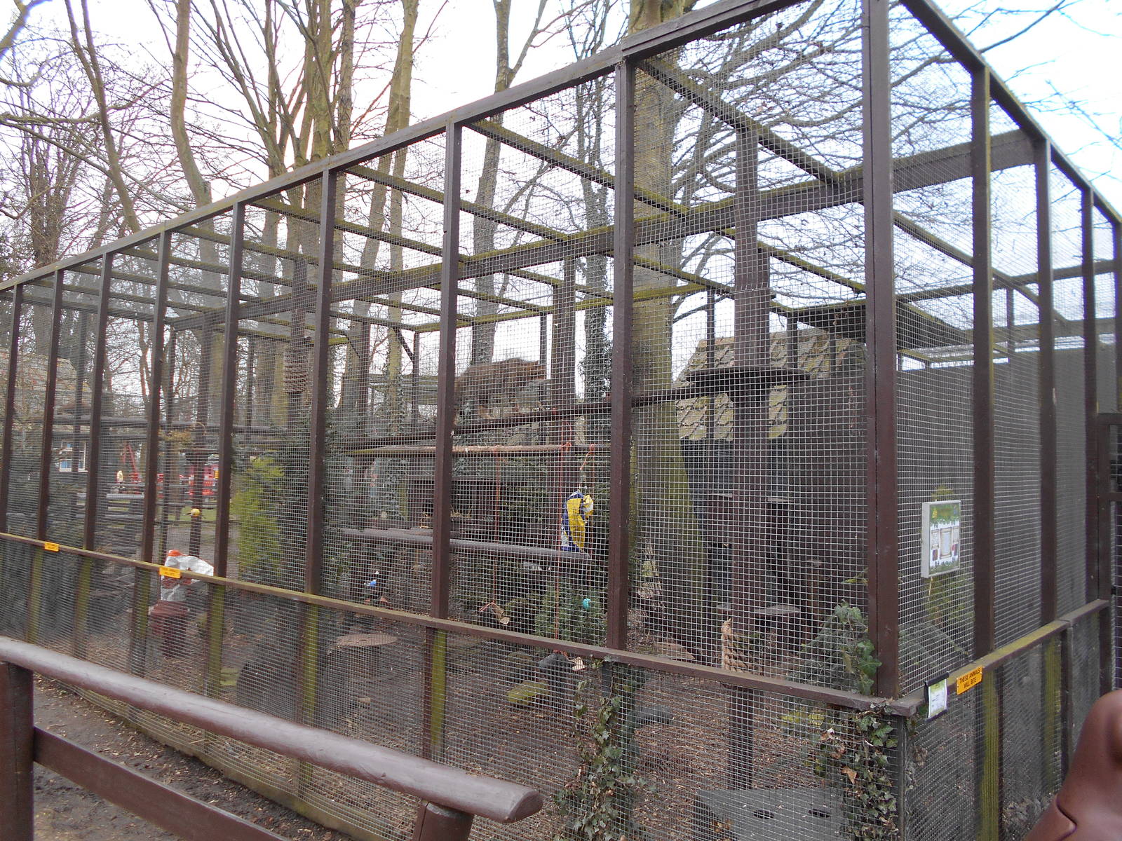 Scottish Wildcat enclosure - March 15th 2016