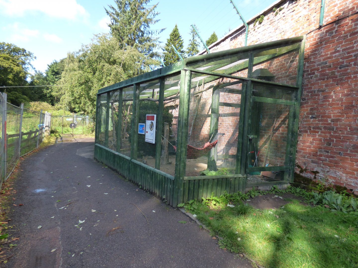 Scottish Wildcat Enclosure (now home to Amur Leopard Cat)
