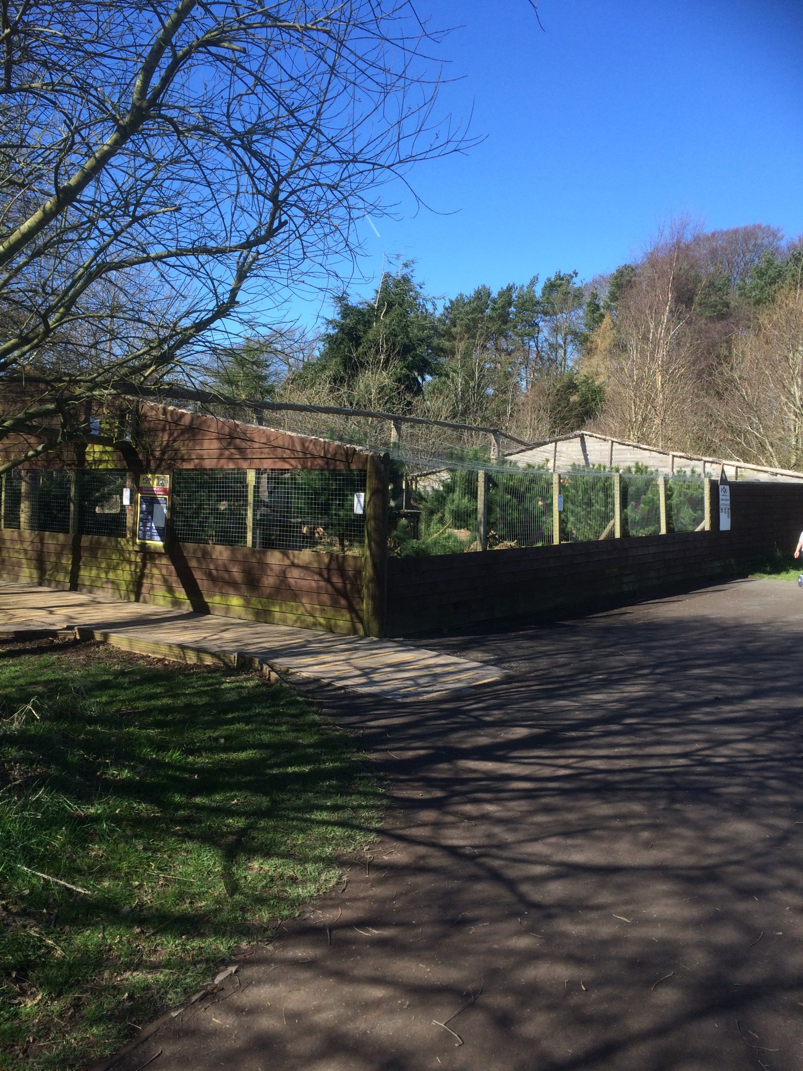 Scottish wildcat enclosure
