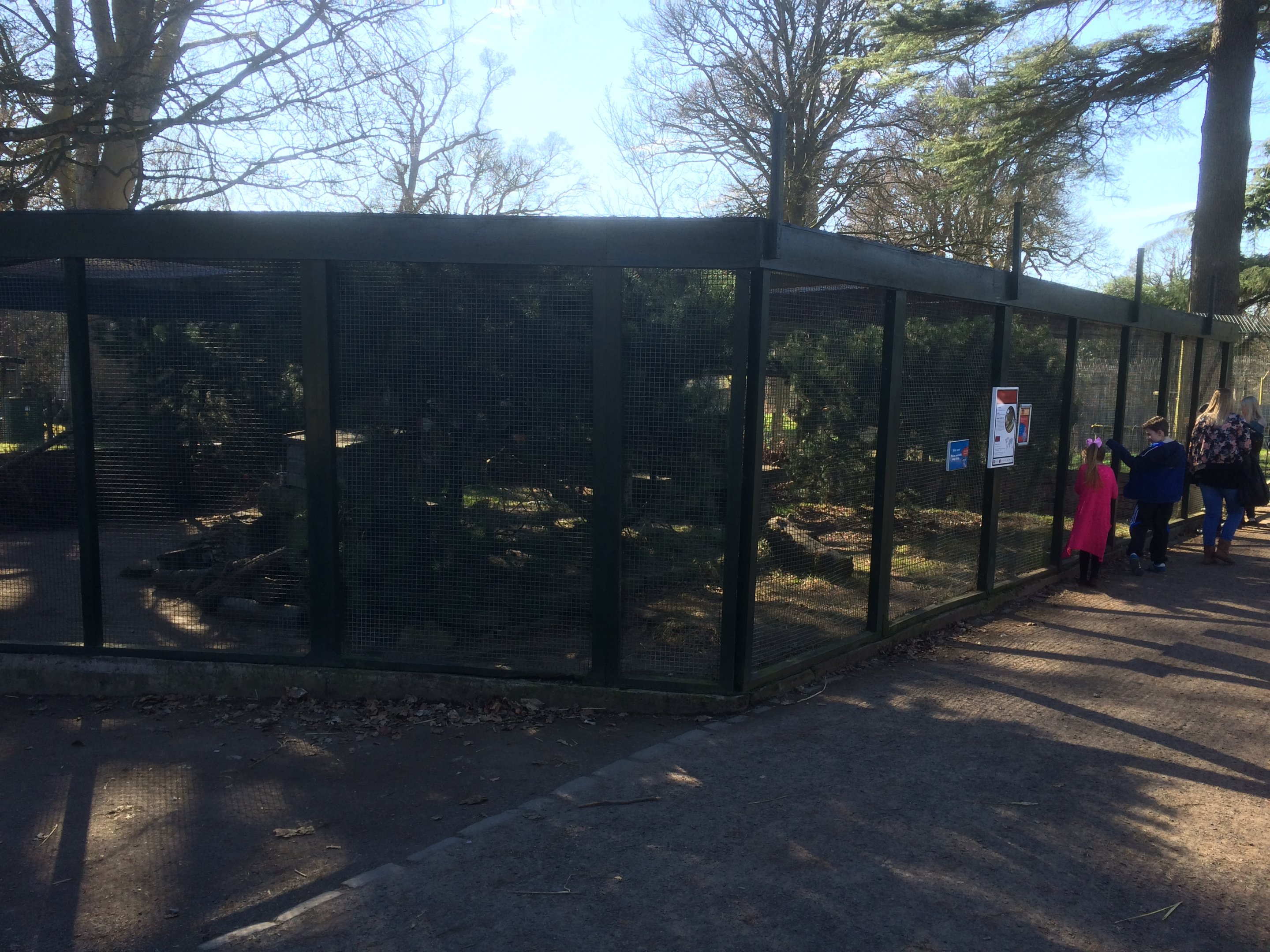Scottish wildcat enclosure
