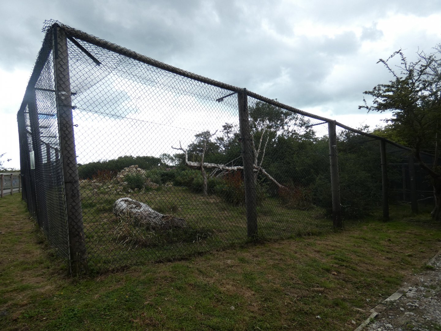 Scottish Wildcat enclosure