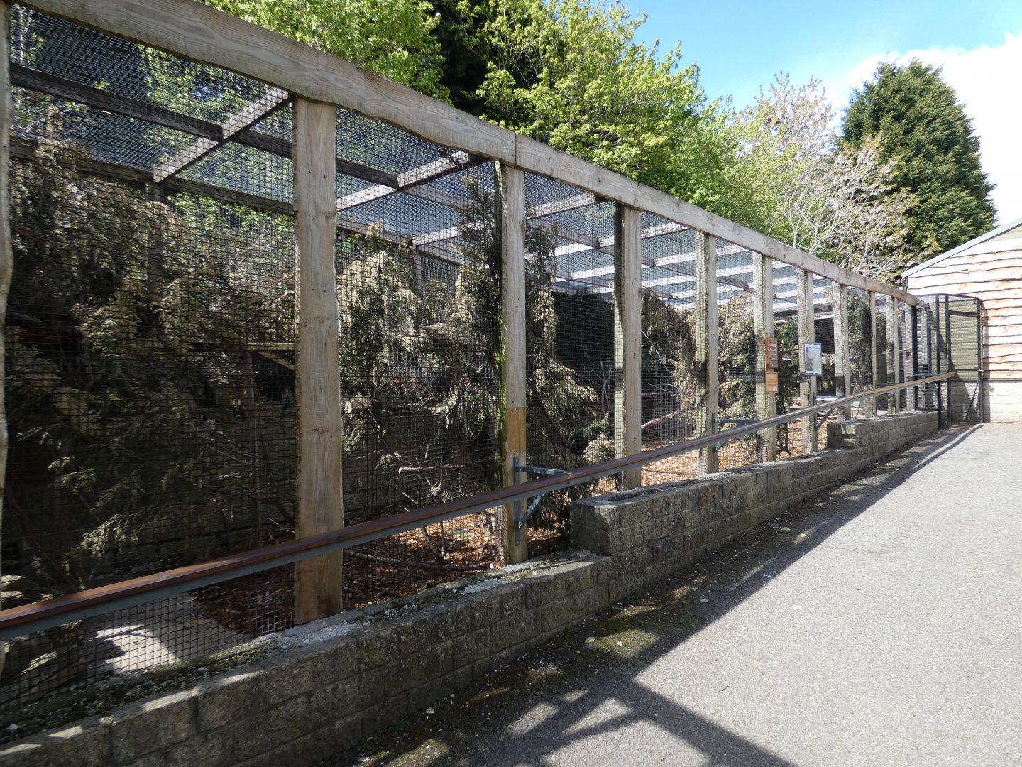 Scottish wildcat enclosure