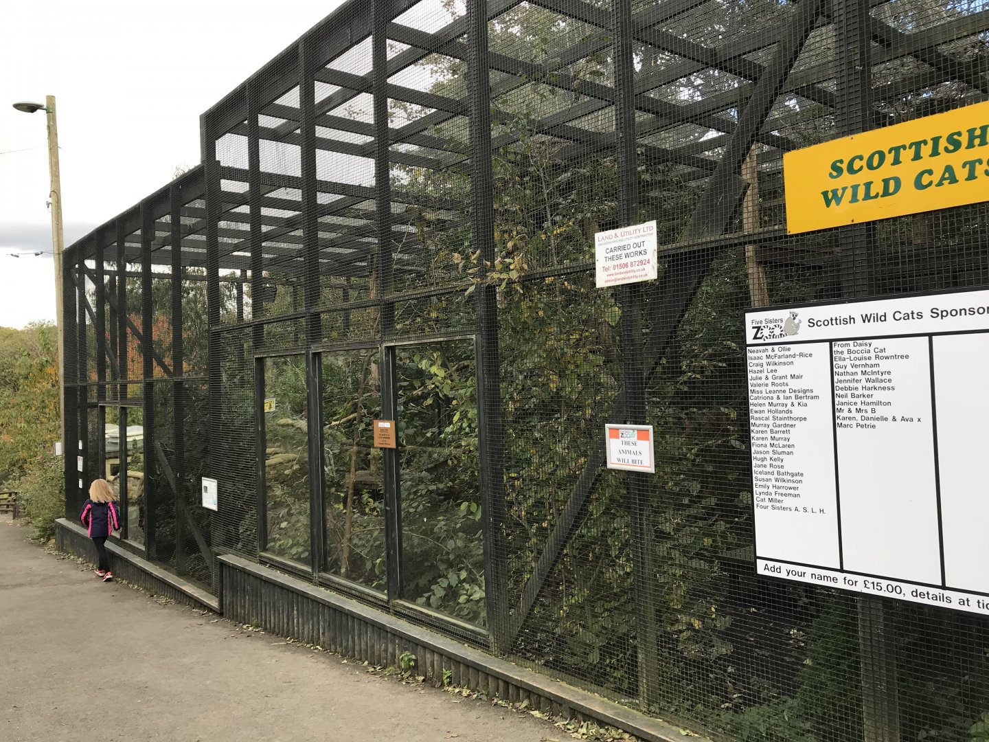 Scottish wildcat enclosure
