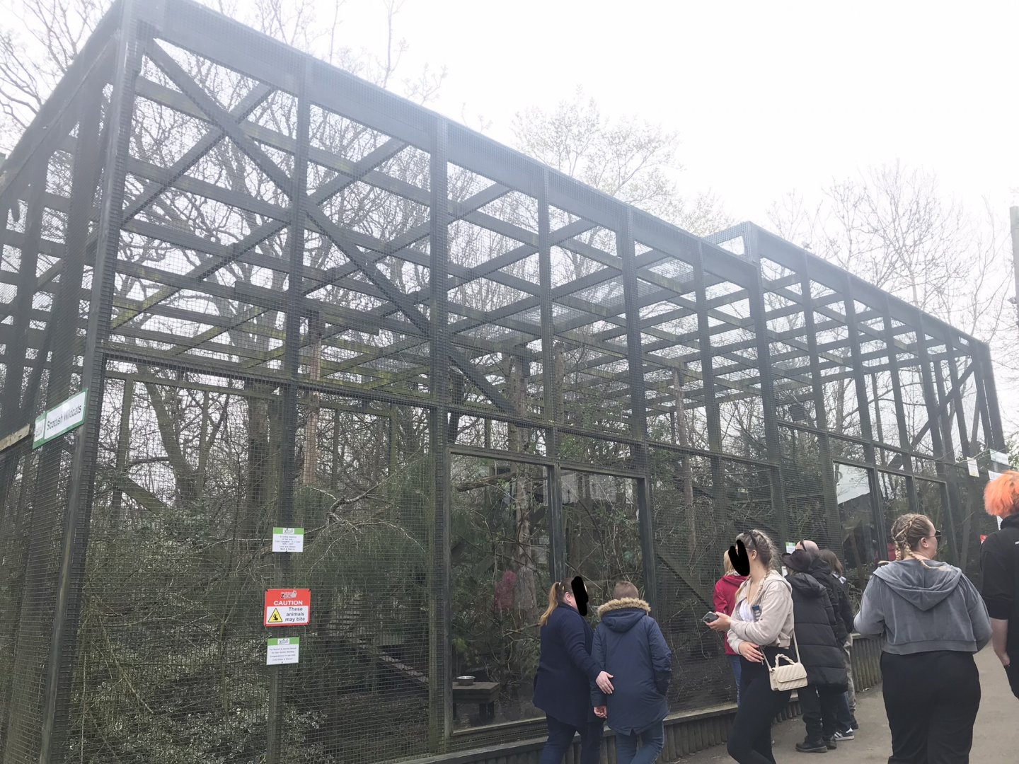 Scottish wildcat enclosure