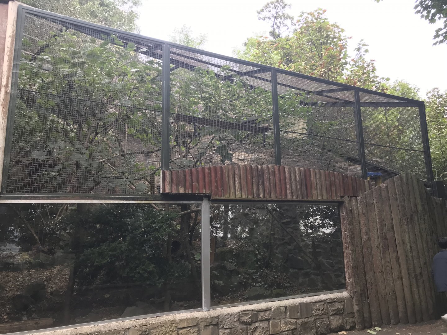Scottish wildcat enclosure