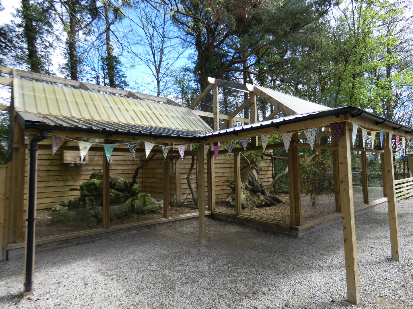 Scottish wildcat enclosure