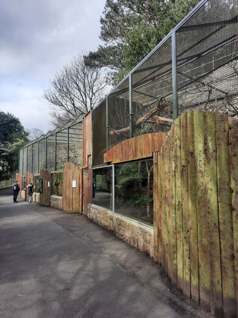 Scottish wildcat enclosures