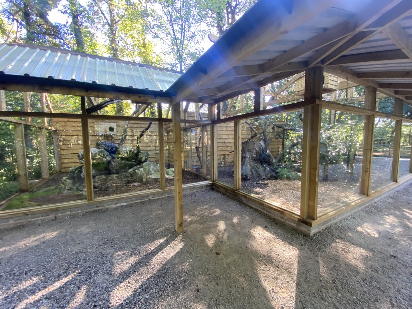 Scottish wildcat exhibit 230922