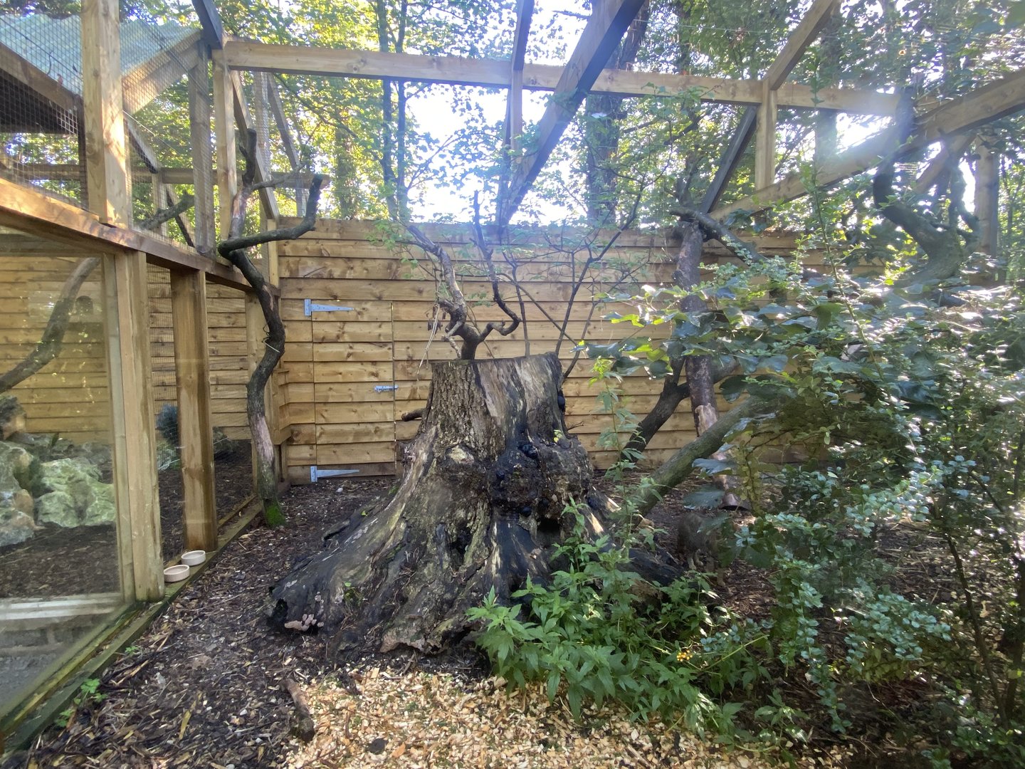 Scottish wildcat exhibit 230922