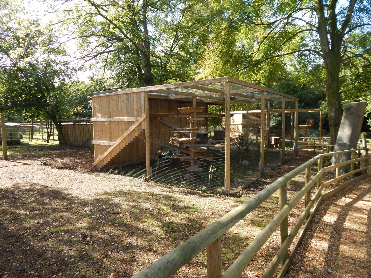 Scottish wildcat habitat 130924