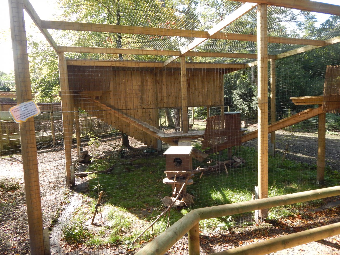 Scottish wildcat habitat 130924