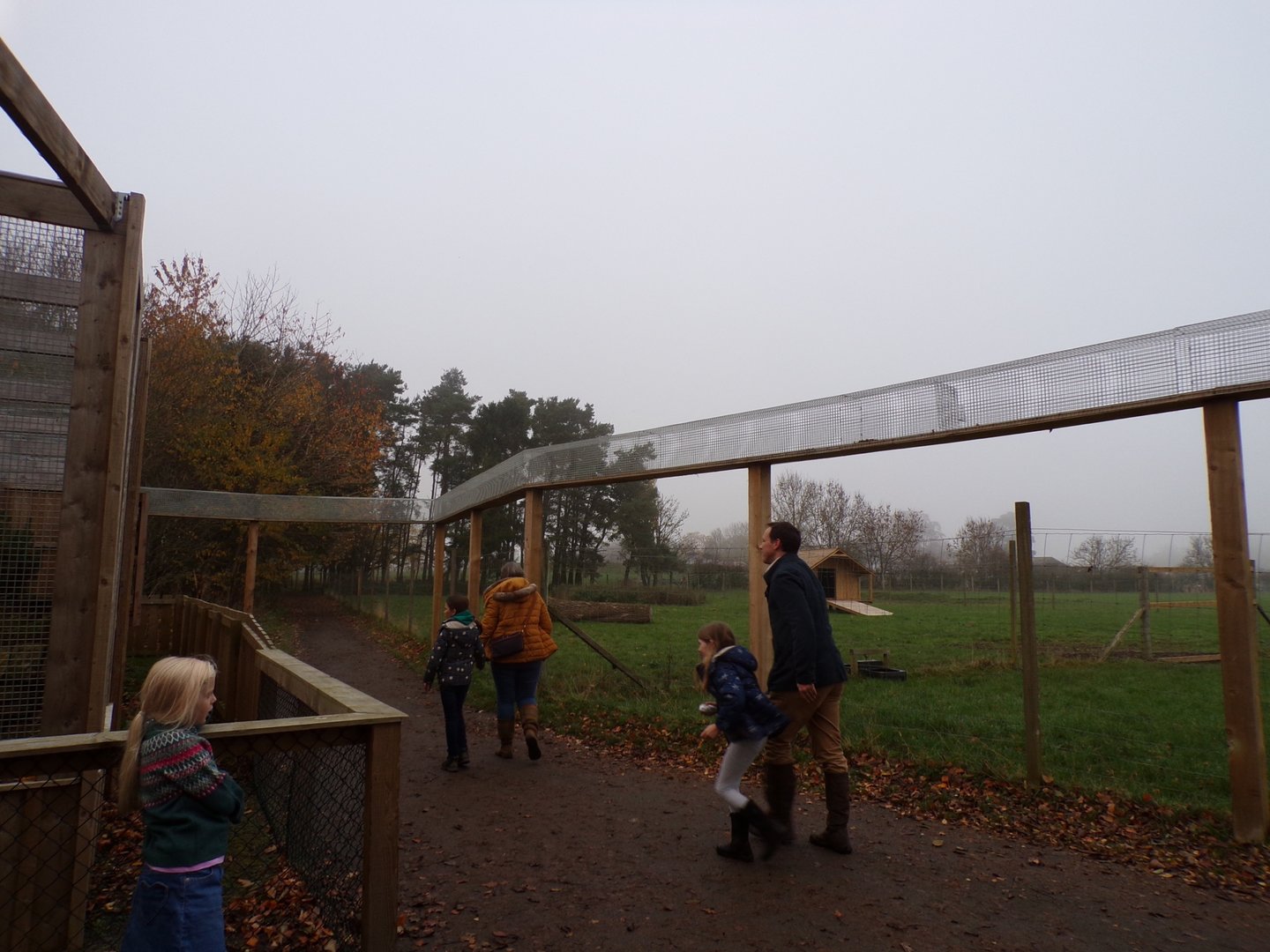 Scottish wildcat overhead tunnels (3)