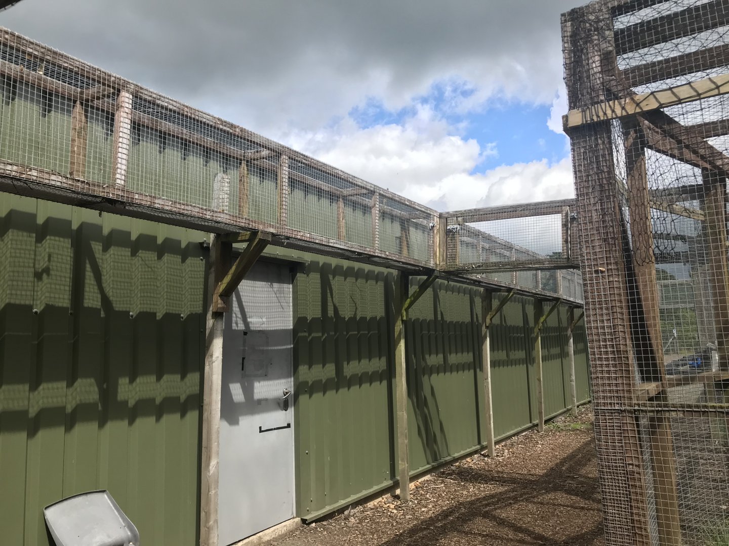 Scottish wildcat overhead tunnels