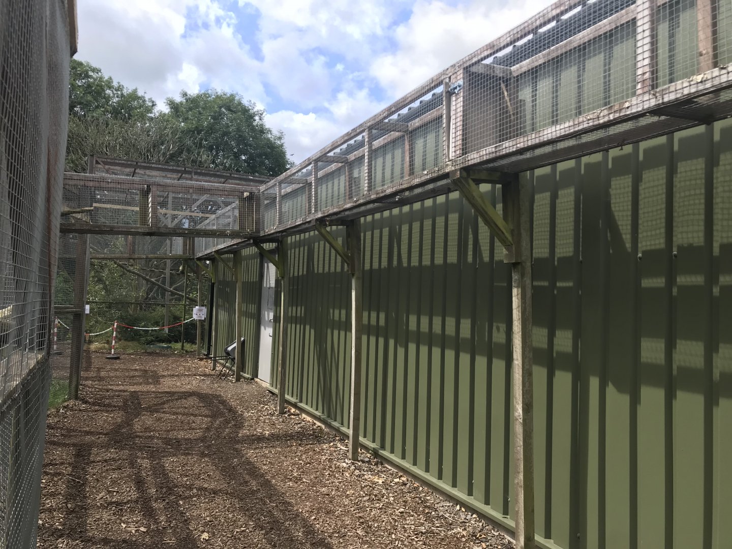 Scottish wildcat overhead tunnels