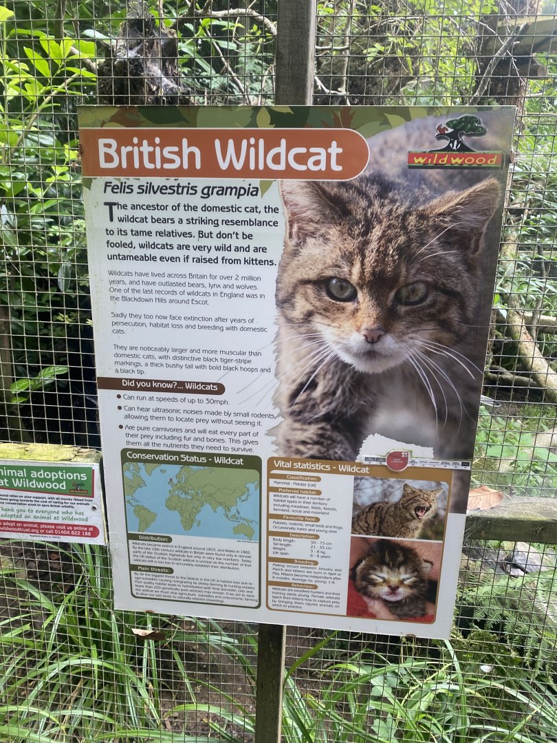 Scottish wildcat signage 100924