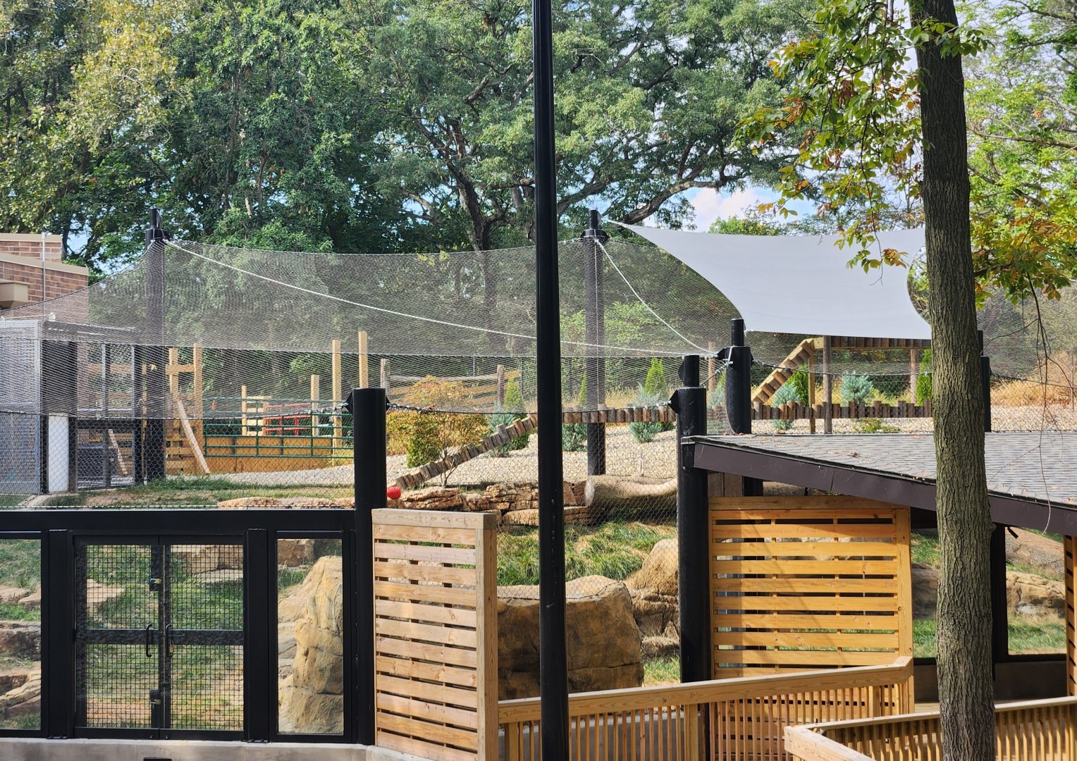 Scovill Zoo - Cougar exhibit