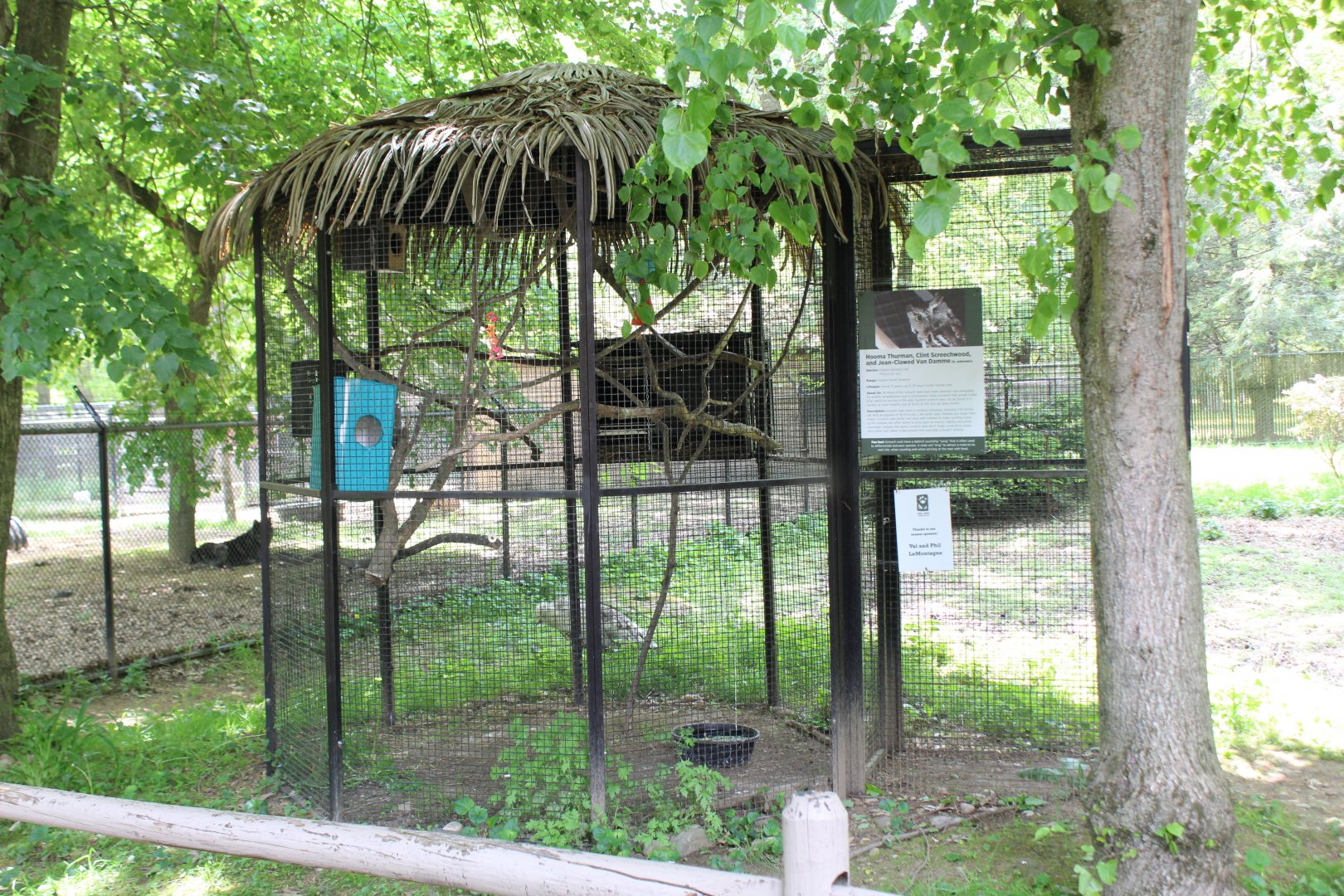 Screech-Owl Aviary