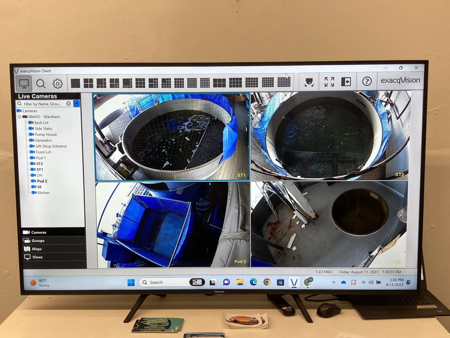 Screen display of seal rehabilitation room