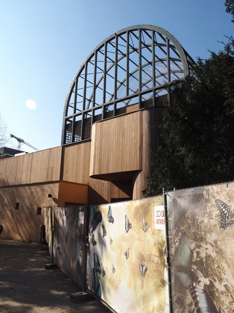 Screened-off hippo house and hippo house aviary - For planned pygmy hippo renovation/Re-purpose? - 2025-03-16