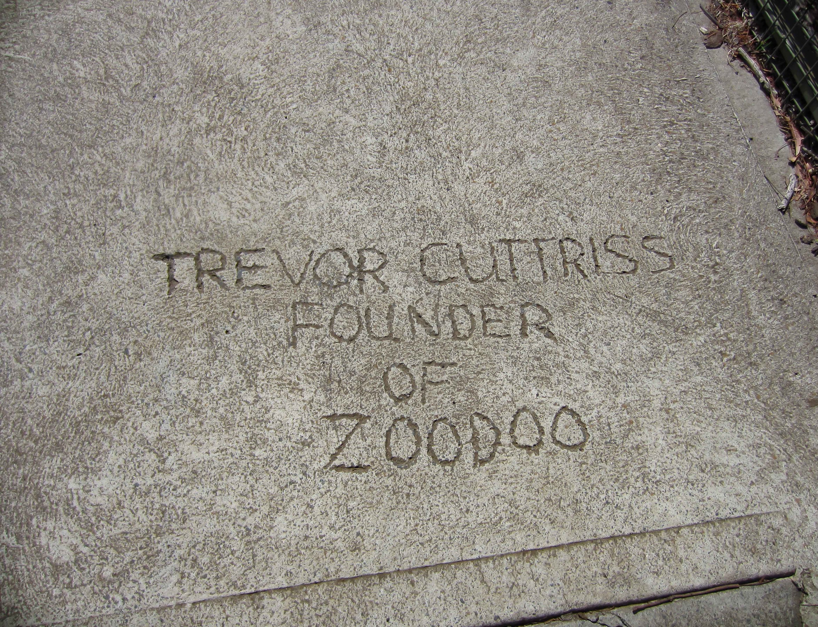 Scribbles in the concrete