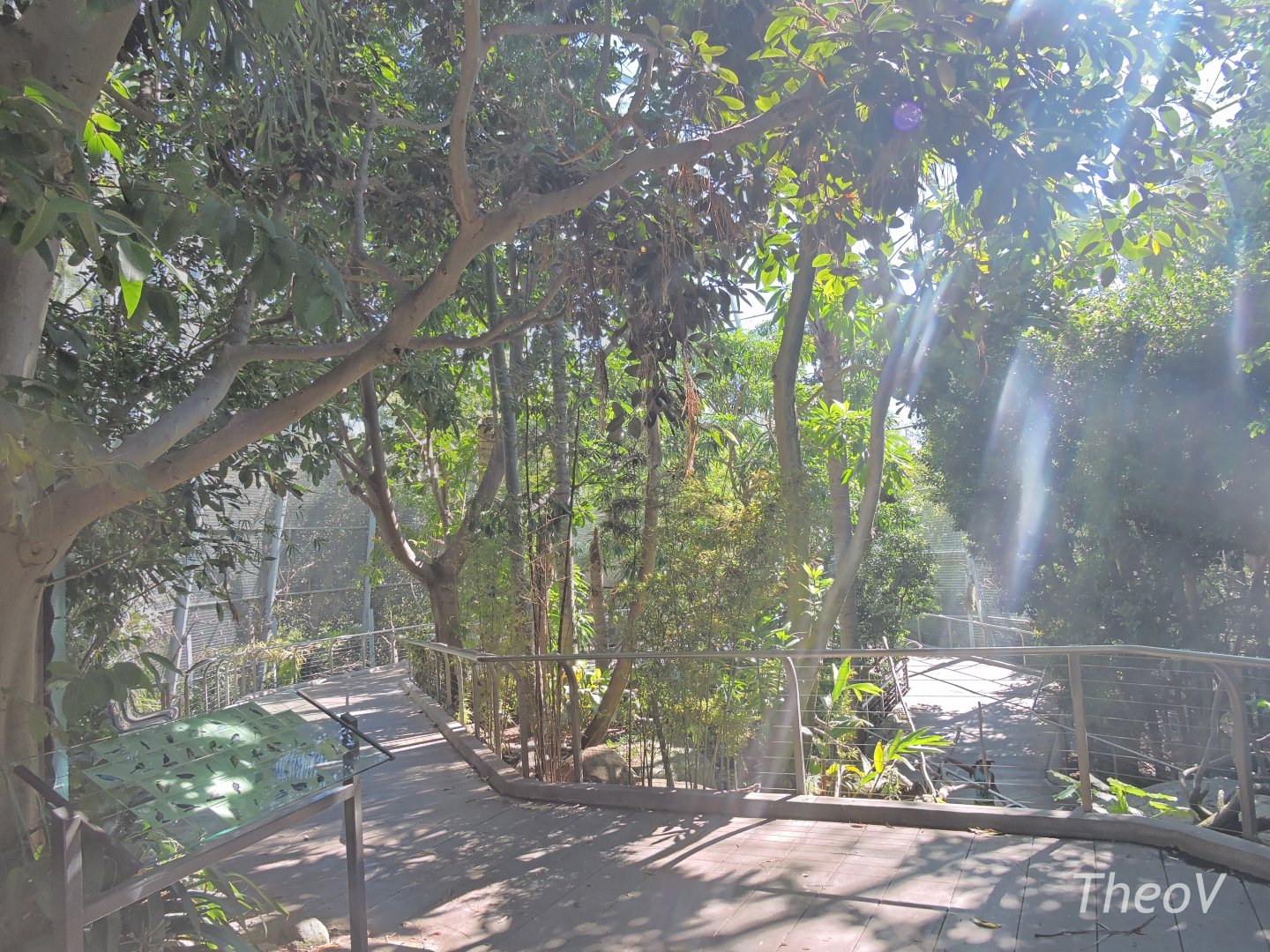 Scripps Aviary - Lost Forest [2015]