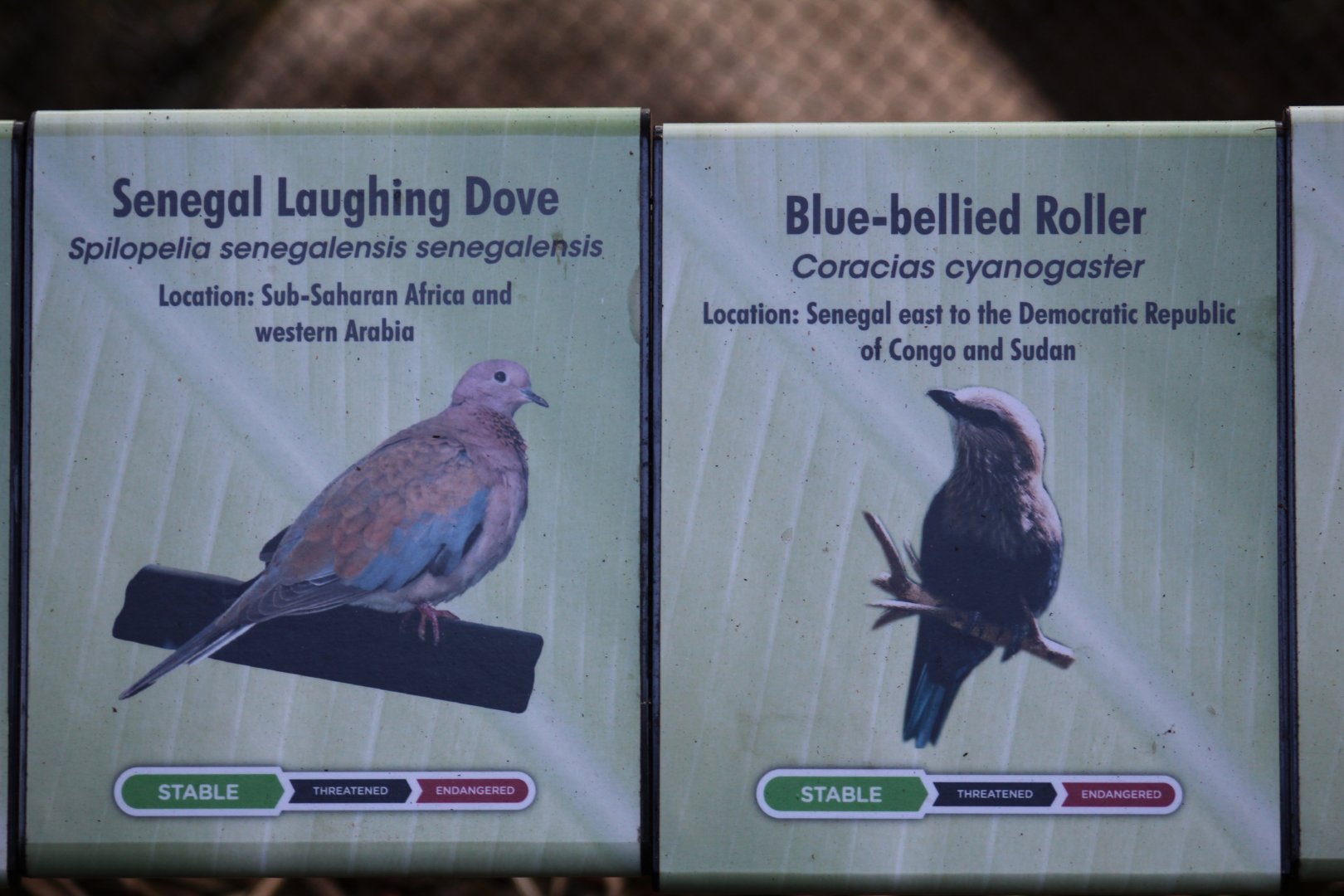 Scripps Aviary Signage
