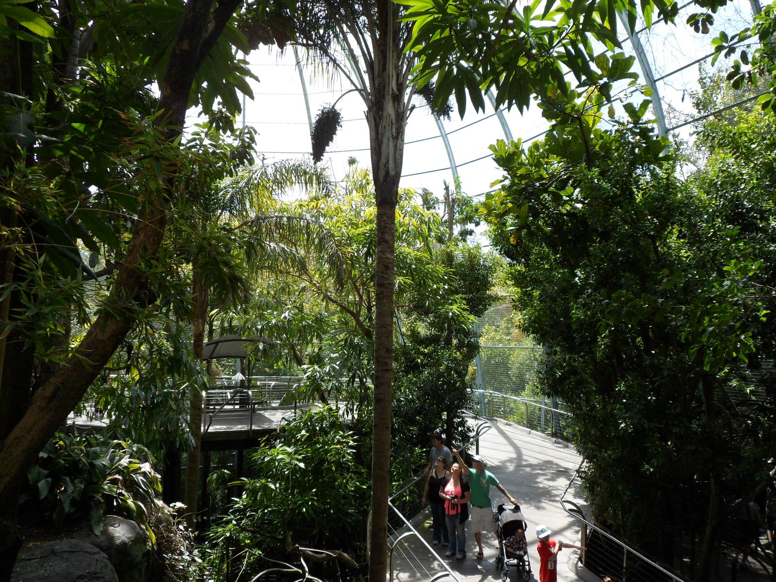 Scripp's Aviary