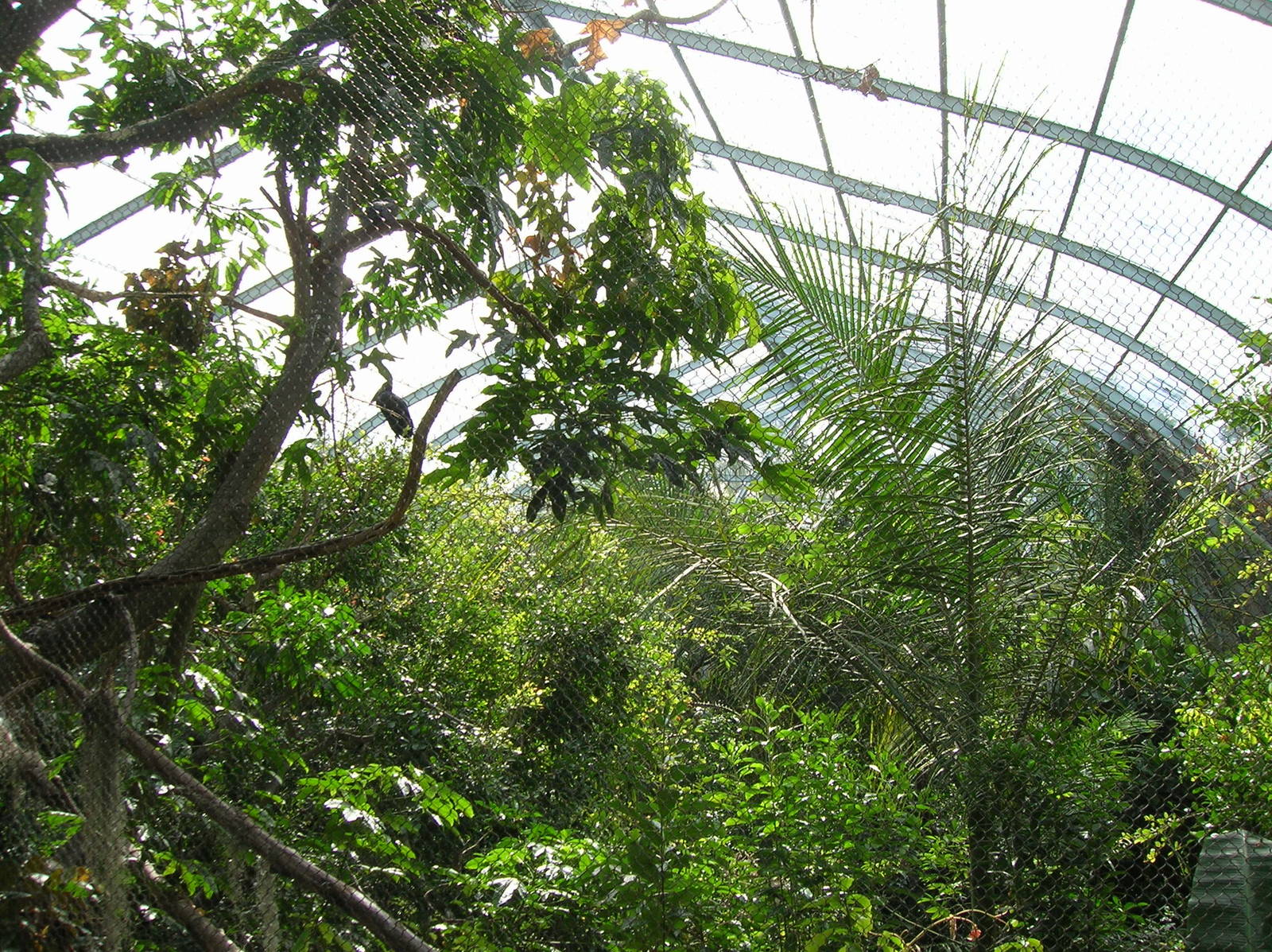Scripps Aviary