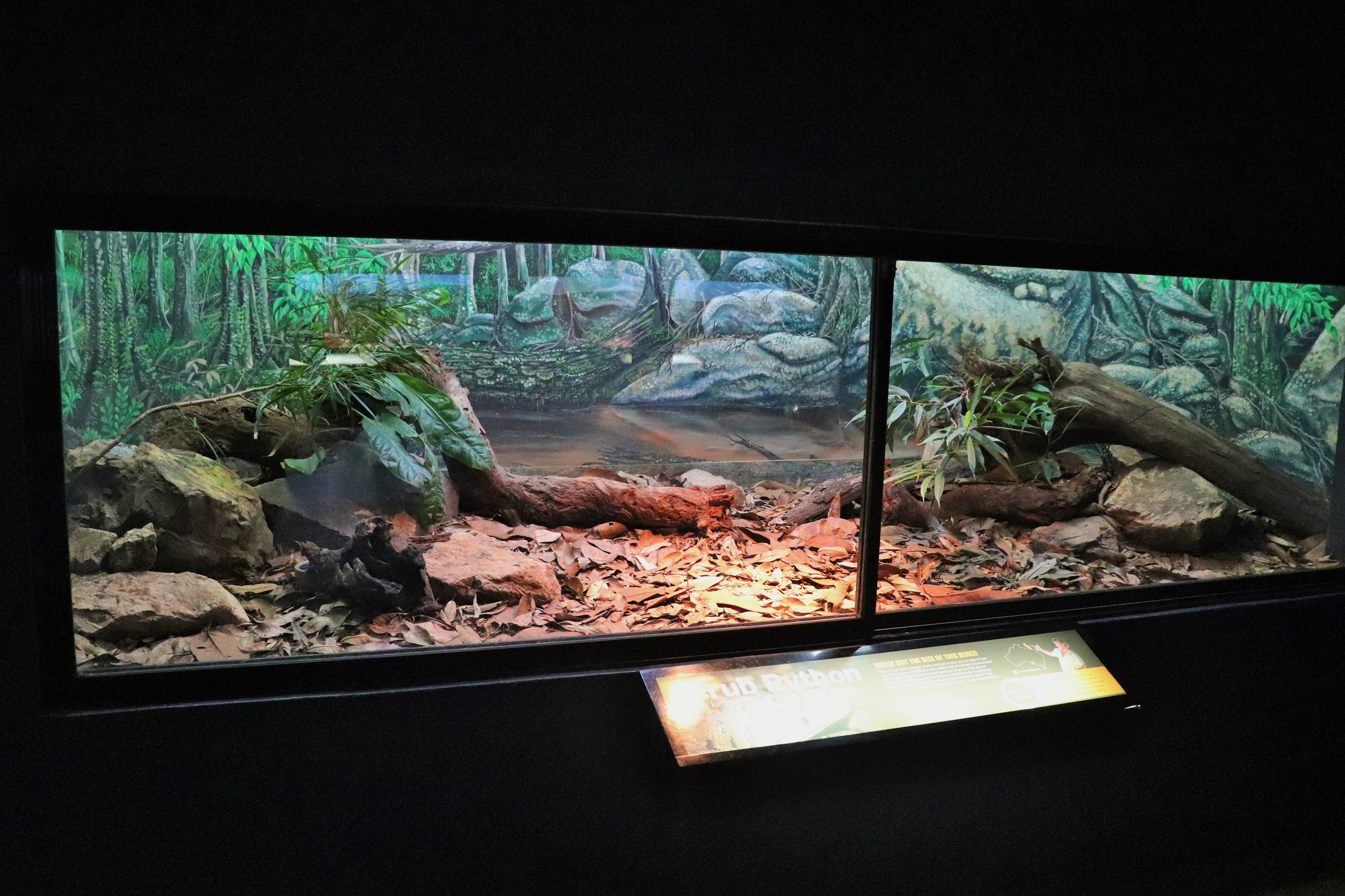 Scrub Python Enclosure