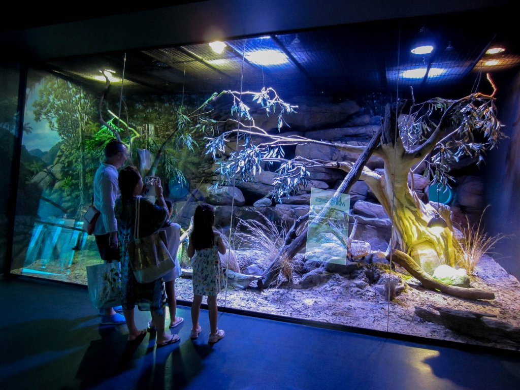 Scrub Python enclosure