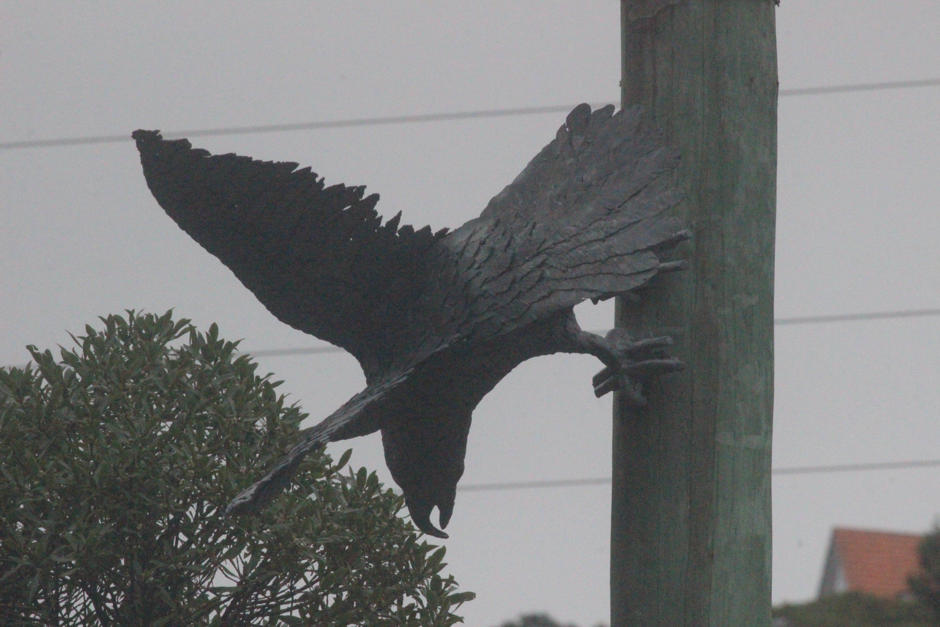 Sculpture of Kākā near entrance