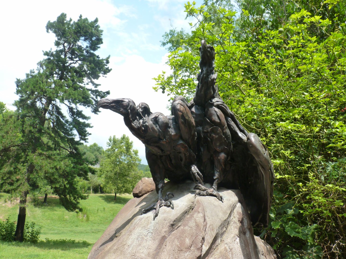 Sculpture of Lappet faced vulture