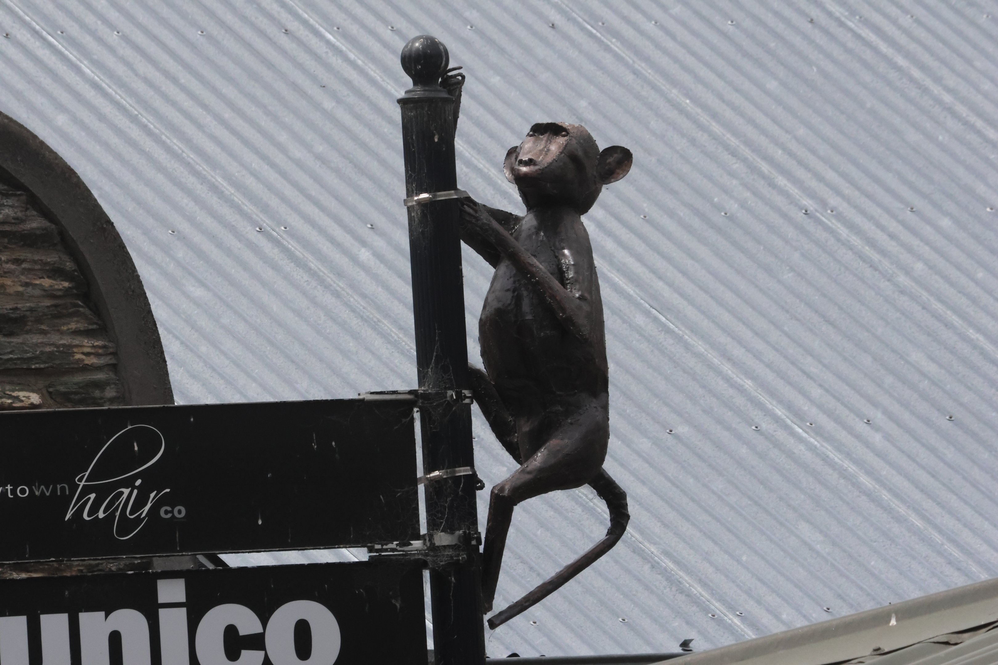 Sculpture of Monkey, Arrowtown