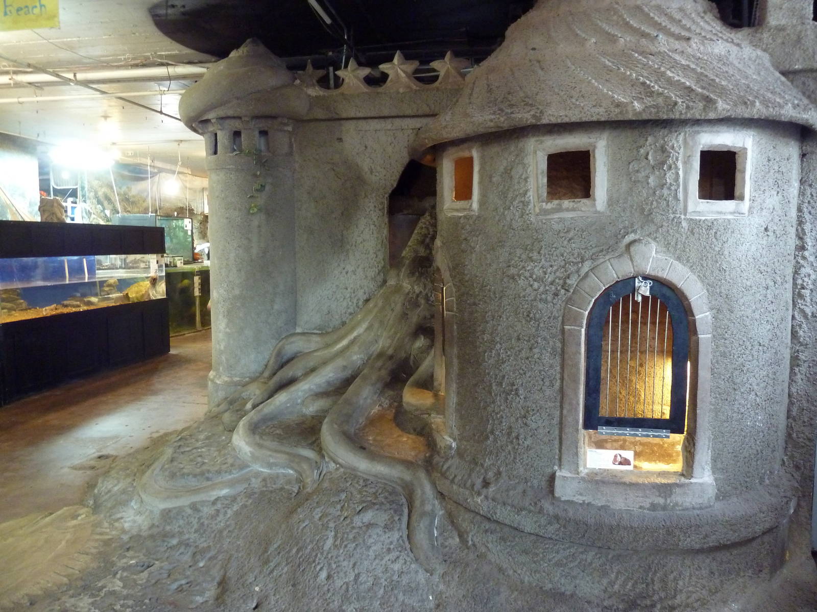 Sculptures + Guinea Pig Exhibit