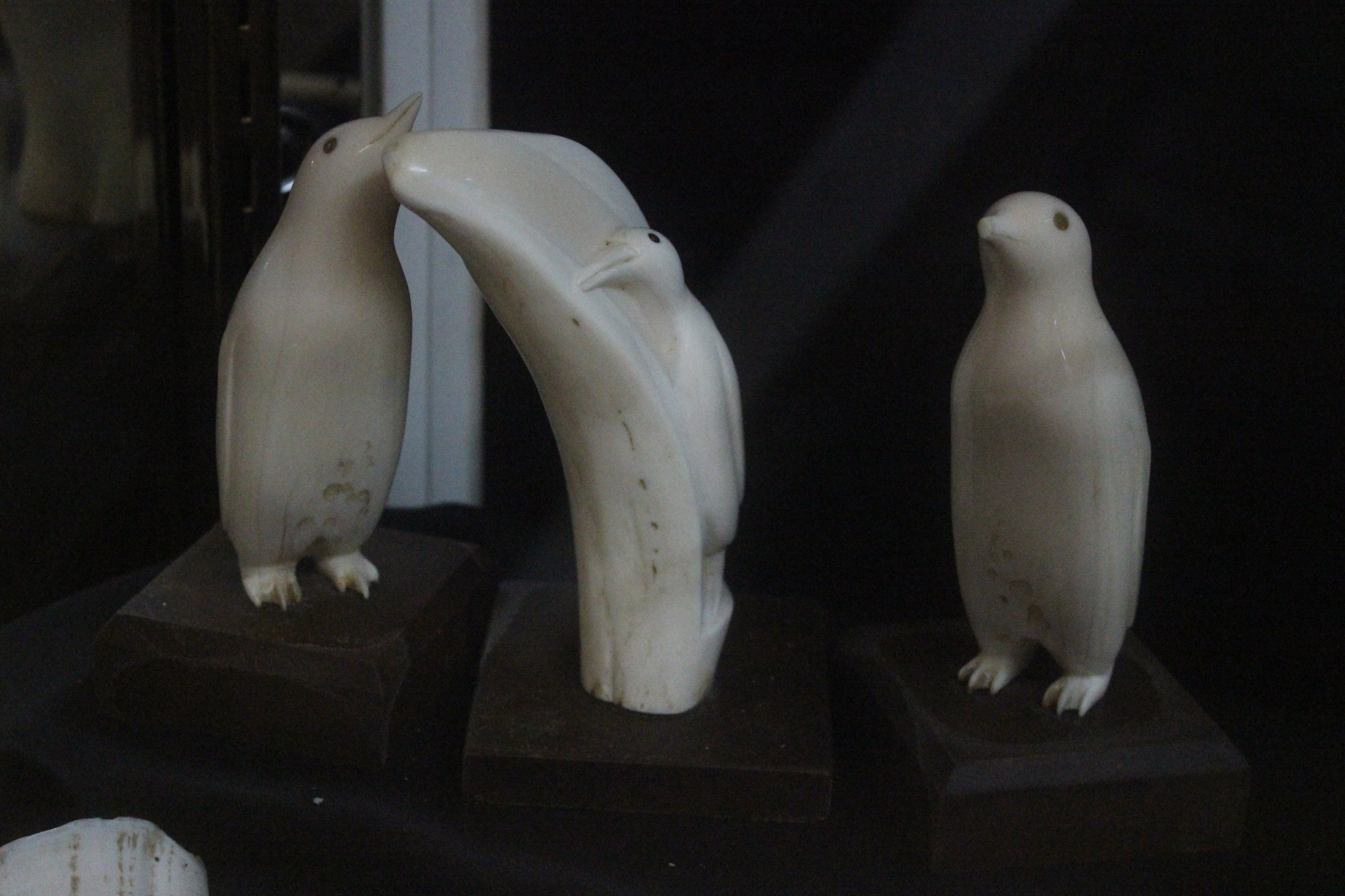 Sculptures of penguins carved from whale teeth, Picton Heritage & Whaling Museum