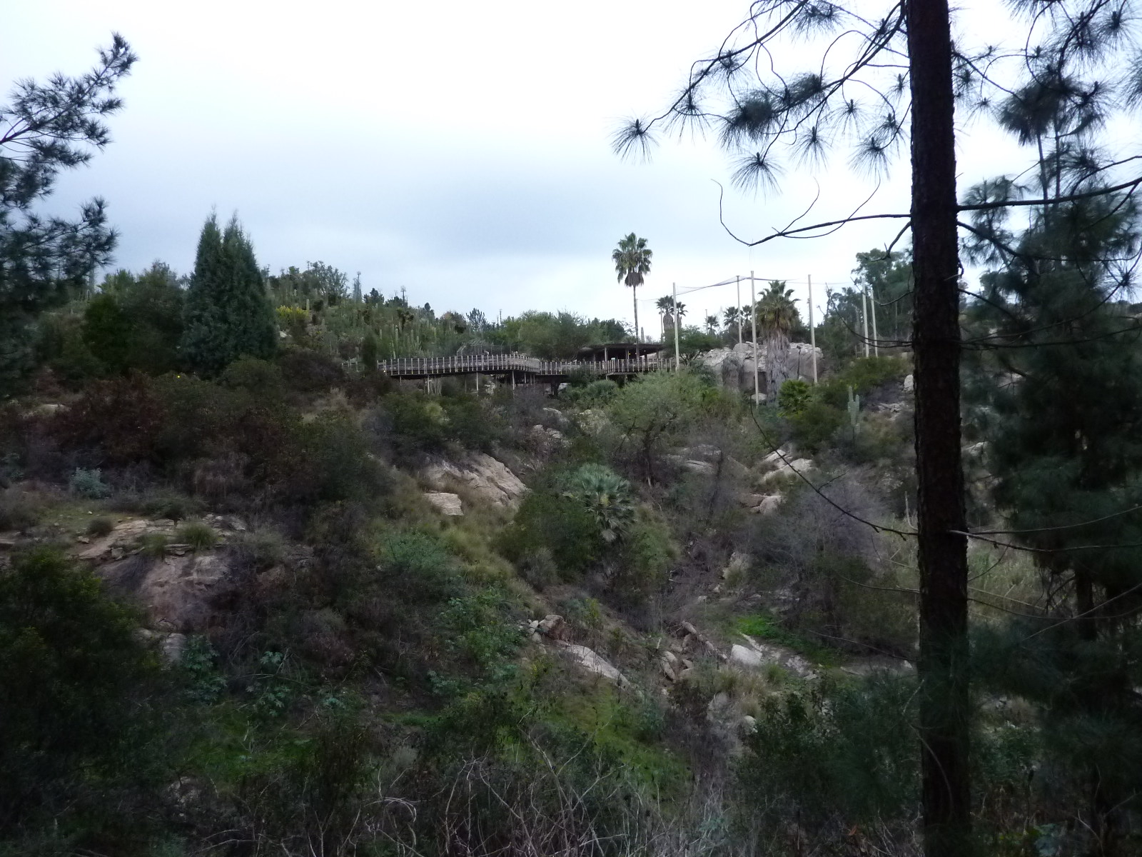 SDWAP Dec 2010 - Condor Ridge