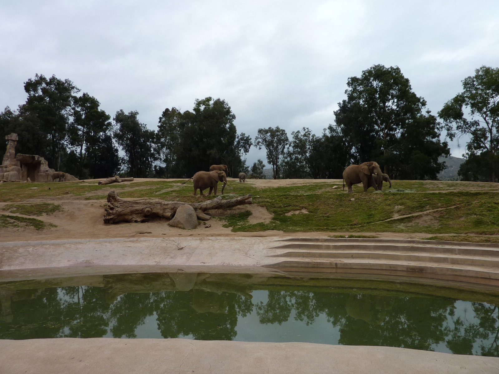 SDWAP Dec 2010 - Elephants